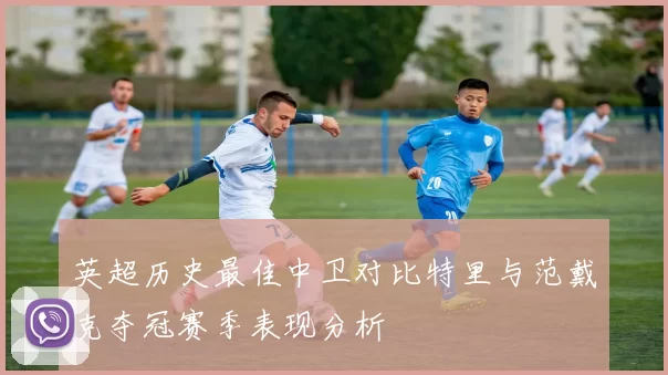 英超历史最佳中卫对比特里与范戴克夺冠赛季表现分析