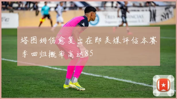 塔图姆伤愈复出在即美媒评估本赛季回归概率高达85